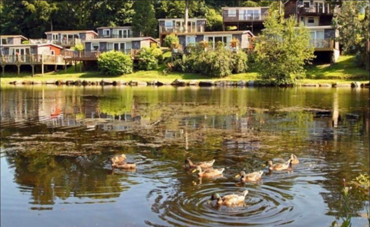 18 River View Chalet-Glan Gwna Holiday Park Карнарвон Экстерьер фото